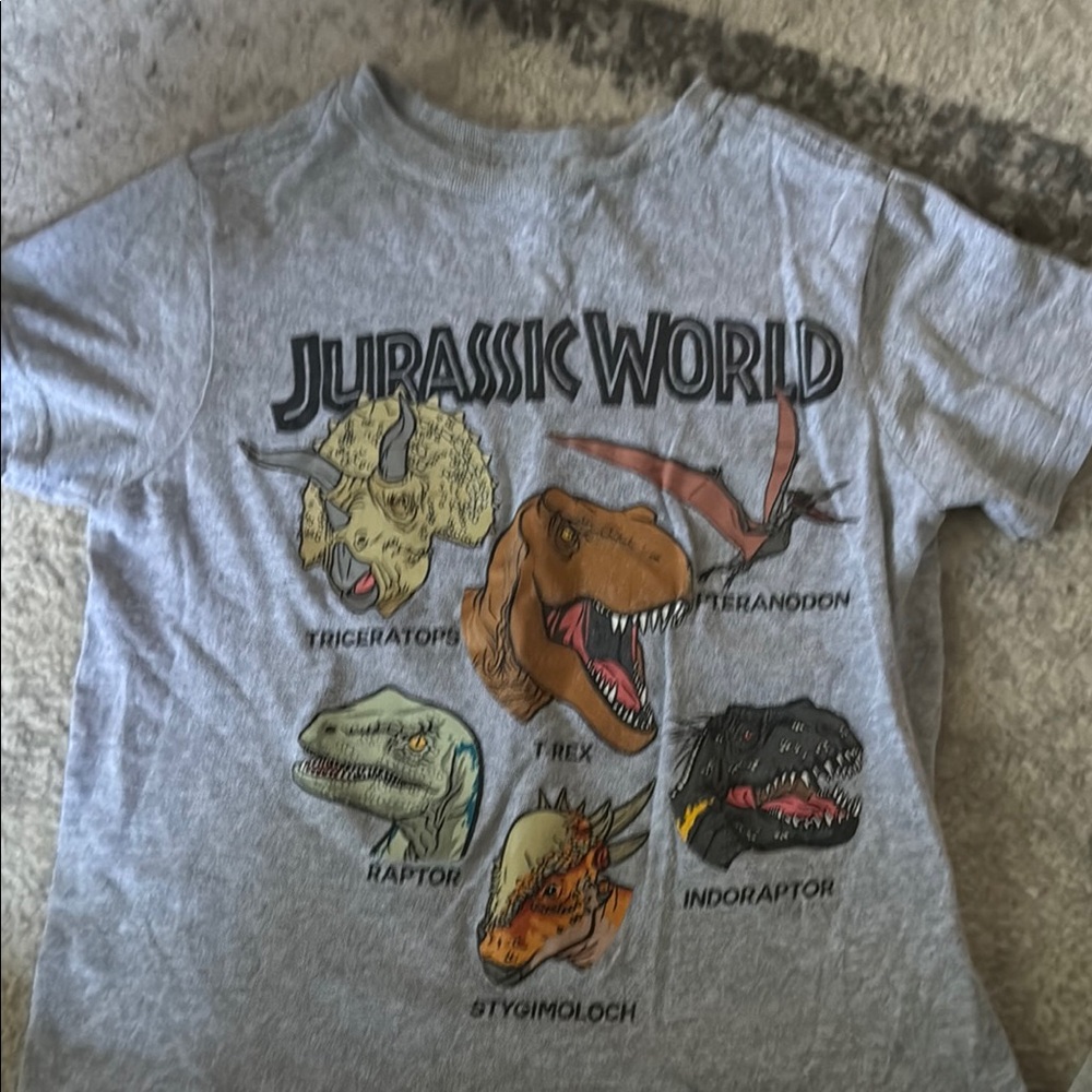 Jurassic World Gray Graphic T-Shirt